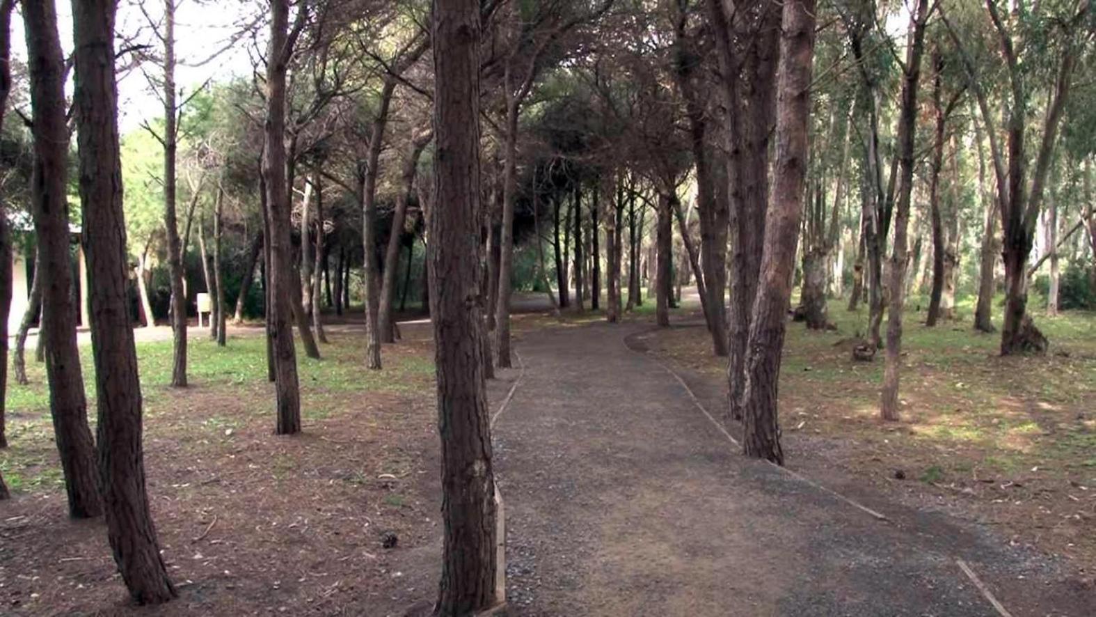 B&B Pineta Mare Lamezia Terme Exterior photo